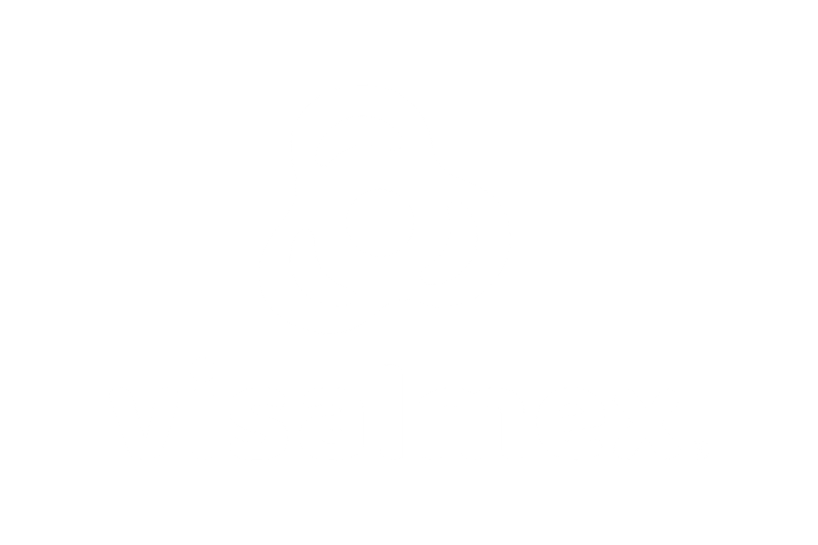 Visalmex